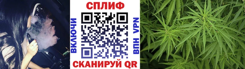 наркотики  Завитинск  Каннабис White Widow 